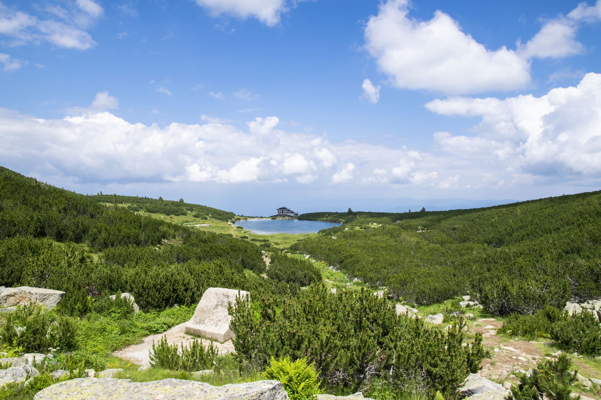 ภาพประกอบบทความคู่มือการขอวีซ่าบัลแกเรีย (Bulgaria) ประเภทพำนักระยะยาว (Permanent Visa) อัปเดตปี 2025 อธิบายขั้นตอนการยื่นเอกสาร เงื่อนไข คุณสมบัติ และค่าใช้จ่าย เพื่อช่วยให้ผู้อ่านเตรียมตัวขอวีซ่าได้อย่างถูกต้องครบถ้วน