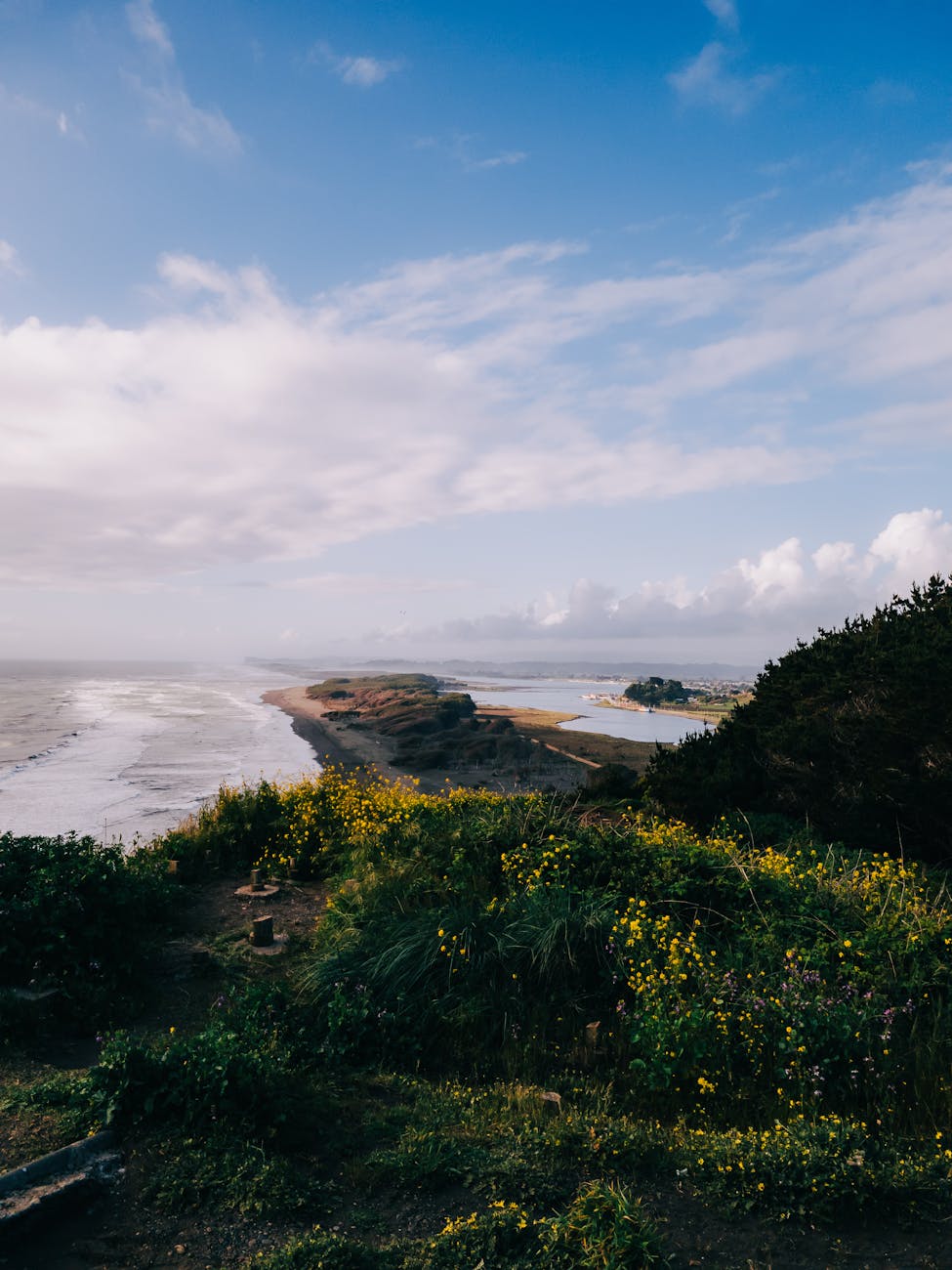 ภาพสรุปเอกสารและขั้นตอนการยื่นขอวีซ่าธุรกิจชิลี (Business Visa) ในปี 2025